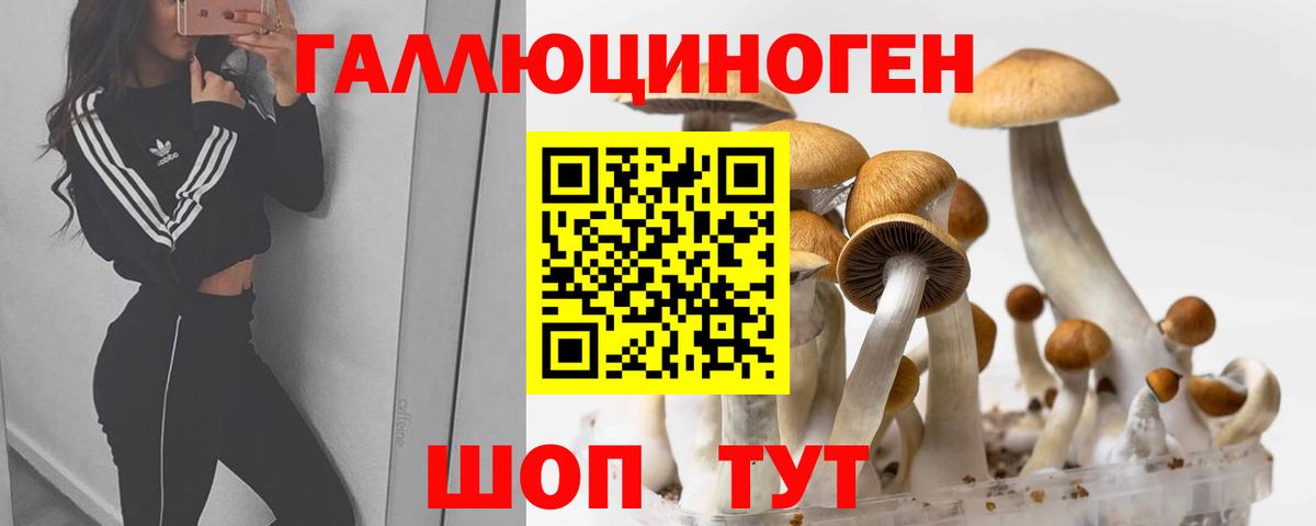 Галлюциногенные грибы прущие грибы  цена наркотик  Мурино  Вход с VPN 
